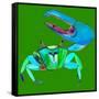 Big Fidler Crab-Robbin Rawlings-Framed Stretched Canvas