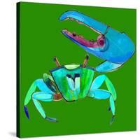 Big Fidler Crab-Robbin Rawlings-Stretched Canvas