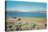 Big Fifties Car by Lake-null-Stretched Canvas