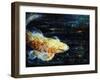 Big Fish-Farrell Douglass-Framed Giclee Print