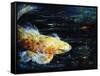 Big Fish-Farrell Douglass-Framed Stretched Canvas