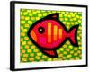 Big Fish-John Nolan-Framed Giclee Print