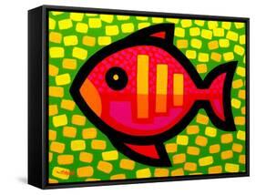 Big Fish-John Nolan-Framed Stretched Canvas