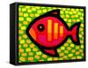 Big Fish-John Nolan-Framed Stretched Canvas