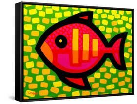 Big Fish-John Nolan-Framed Stretched Canvas