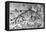 Big Fishes Eat Small Ones, 1556-Pieter Bruegel the Elder-Framed Stretched Canvas