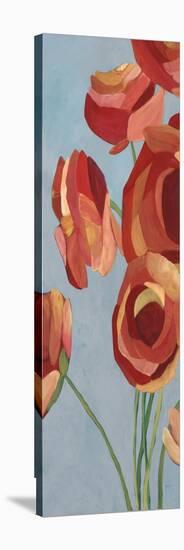 Big Flowers I-Kari Taylor-Stretched Canvas