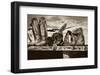 Big Foot-Barry Hart-Framed Art Print