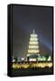 Big Goose Pagoda Park-Christian Kober-Framed Stretched Canvas