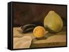 Big Grapefruit, 2006-Raimonda Kasparaviciene Jatkeviciute-Framed Stretched Canvas