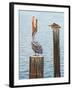 Big Gulp-Bruce Dumas-Framed Giclee Print