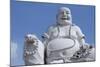 Big Happy Buddha Statue, My Tho, Vietnam-Cindy Miller Hopkins-Mounted Photographic Print