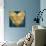 Big Hearted Gold on Teal-Lindsay Rodgers-Art Print displayed on a wall