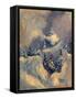 Big Horn Peak, 2009-Patricia Brintle-Framed Stretched Canvas