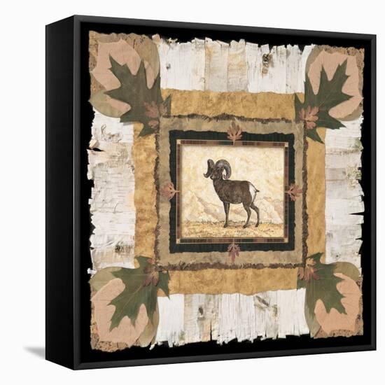 Big Horn Ram-Pamela Gladding-Framed Stretched Canvas