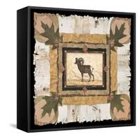 Big Horn Ram-Pamela Gladding-Framed Stretched Canvas