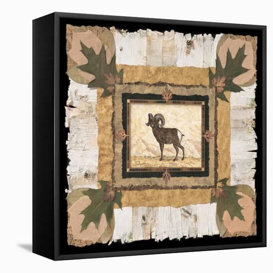 Big Horn Ram-Pamela Gladding-Framed Stretched Canvas