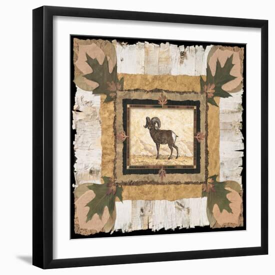 Big Horn Ram-Pamela Gladding-Framed Art Print