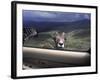 Big Horn Sheep Looking Through Car Window, Mt. Evans, Colorado, USA-James Gritz-Framed Photographic Print