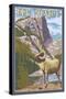 Big Horn Sheep - New Mexico-Lantern Press-Stretched Canvas
