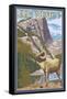 Big Horn Sheep - New Mexico-Lantern Press-Framed Stretched Canvas