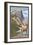 Big Horn Sheep - New Mexico-Lantern Press-Framed Art Print