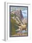 Big Horn Sheep - New Mexico-Lantern Press-Framed Art Print