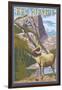 Big Horn Sheep - New Mexico-Lantern Press-Framed Art Print