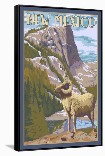 Big Horn Sheep - New Mexico-Lantern Press-Framed Stretched Canvas