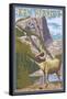 Big Horn Sheep - New Mexico-Lantern Press-Framed Stretched Canvas