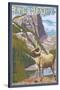 Big Horn Sheep - New Mexico-Lantern Press-Stretched Canvas