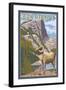 Big Horn Sheep - New Mexico-Lantern Press-Framed Art Print