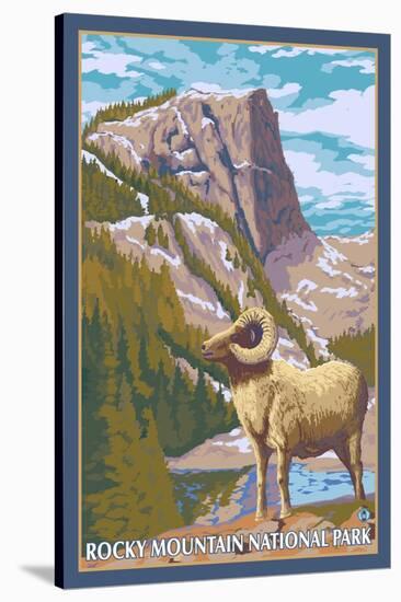 Big Horn Sheep, Rocky Mountain National Park-Lantern Press-Stretched Canvas