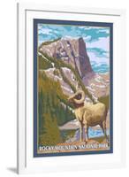 Big Horn Sheep, Rocky Mountain National Park-Lantern Press-Framed Art Print