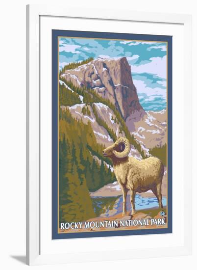 Big Horn Sheep, Rocky Mountain National Park-Lantern Press-Framed Art Print