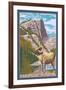 Big Horn Sheep, Rocky Mountain National Park-Lantern Press-Framed Art Print