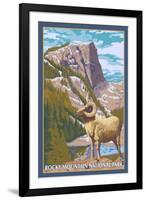 Big Horn Sheep, Rocky Mountain National Park-Lantern Press-Framed Art Print