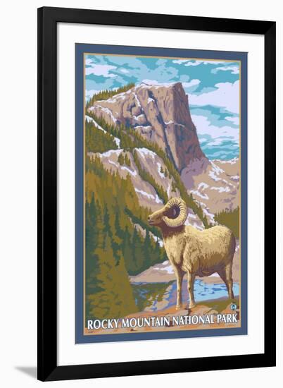 Big Horn Sheep, Rocky Mountain National Park-Lantern Press-Framed Art Print