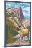 Big Horn Sheep, Rocky Mountain National Park-Lantern Press-Mounted Art Print