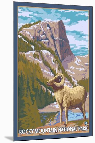 Big Horn Sheep, Rocky Mountain National Park-Lantern Press-Mounted Art Print