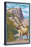 Big Horn Sheep, Rocky Mountain National Park-Lantern Press-Stretched Canvas