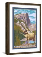 Big Horn Sheep, Rocky Mountain National Park-Lantern Press-Framed Art Print