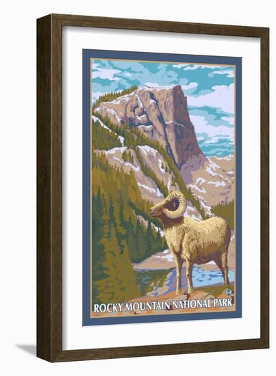 Big Horn Sheep, Rocky Mountain National Park-Lantern Press-Framed Art Print