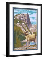 Big Horn Sheep, Rocky Mountain National Park-Lantern Press-Framed Art Print