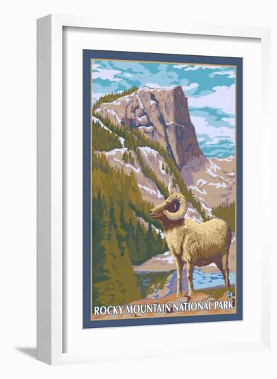 Big Horn Sheep, Rocky Mountain National Park-Lantern Press-Framed Art Print