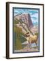 Big Horn Sheep, Rocky Mountain National Park-Lantern Press-Framed Art Print