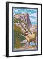 Big Horn Sheep, Rocky Mountain National Park-Lantern Press-Framed Art Print