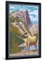 Big Horn Sheep, Rocky Mountain National Park-Lantern Press-Framed Art Print