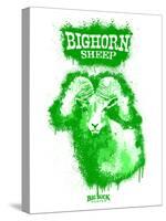 Big Horn Sheep Spray Paint Green-Anthony Salinas-Stretched Canvas