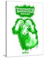 Big Horn Sheep Spray Paint Green-Anthony Salinas-Stretched Canvas